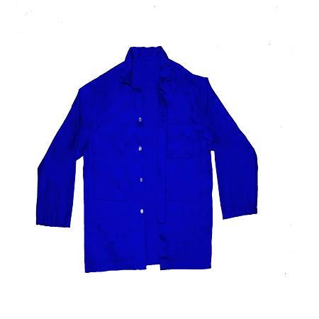 Foto sobre Mauris const equat