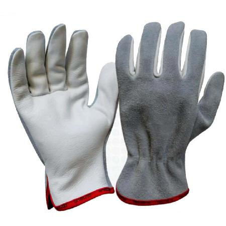 Foto sobre Mauris const equat