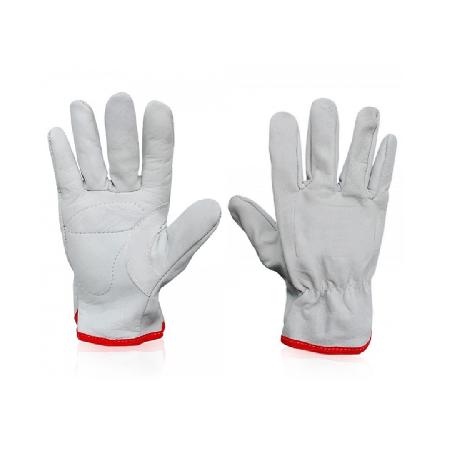 Foto sobre Mauris const equat