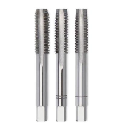 Foto sobre Mauris const equat