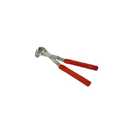 Foto sobre Mauris const equat