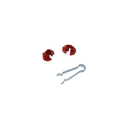 Foto sobre Mauris const equat