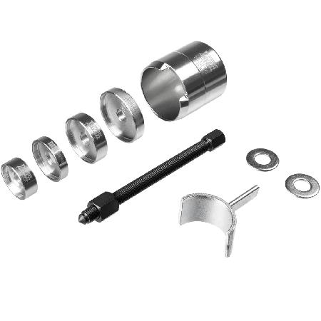 Foto sobre Mauris const equat