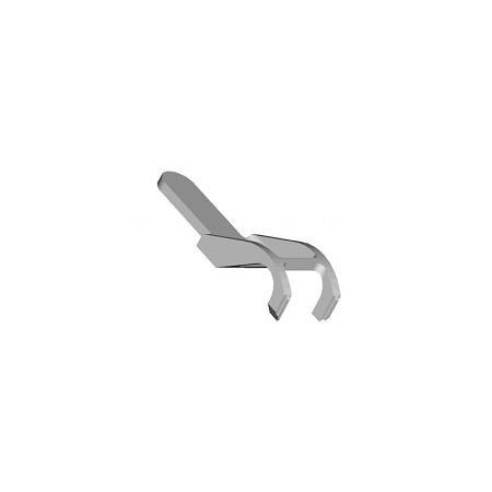 Foto sobre Mauris const equat