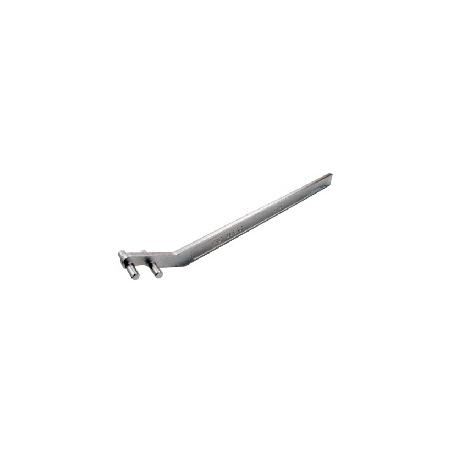 Foto sobre Mauris const equat