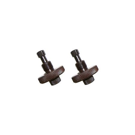 Foto sobre Mauris const equat