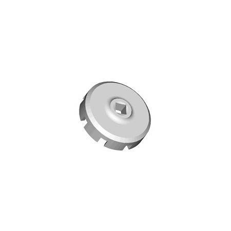 Foto sobre Mauris const equat