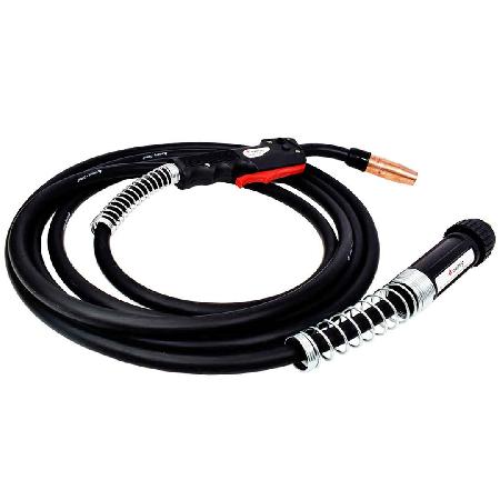 Foto sobre Mauris const equat