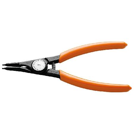 Foto sobre Mauris const equat