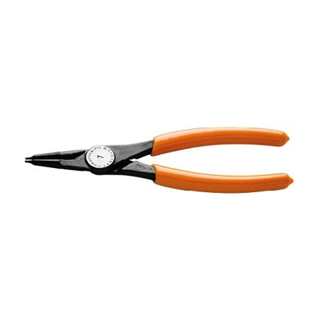 Foto sobre Mauris const equat