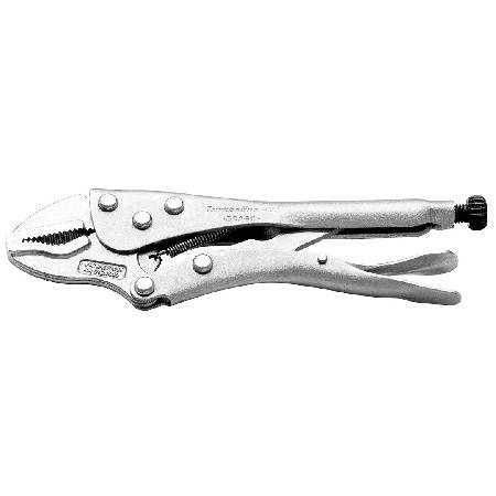 Foto sobre Mauris const equat