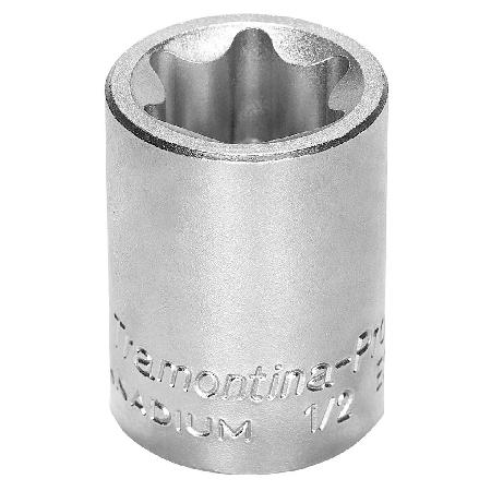 Foto sobre Mauris const equat