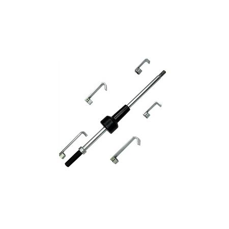 Foto sobre Mauris const equat