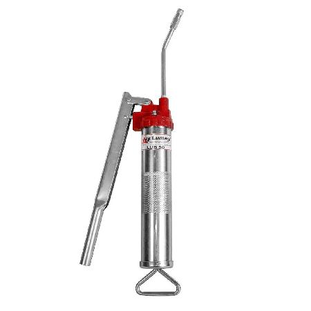 Foto sobre Mauris const equat