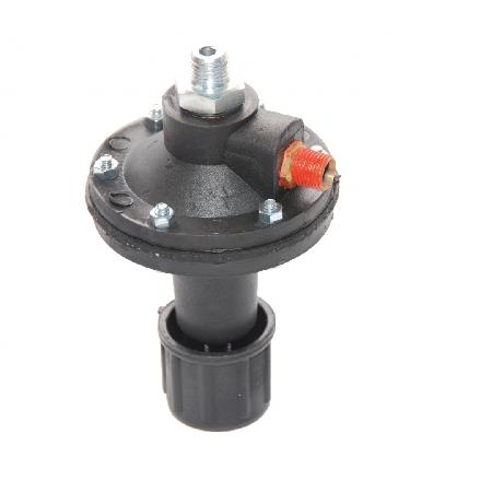 Foto sobre Mauris const equat