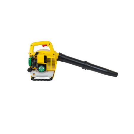 Foto sobre Mauris const equat