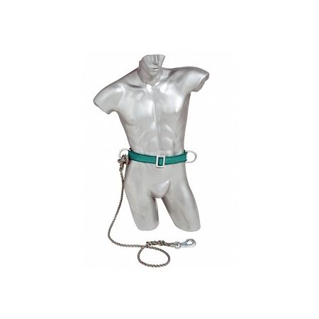 Foto sobre Mauris const equat