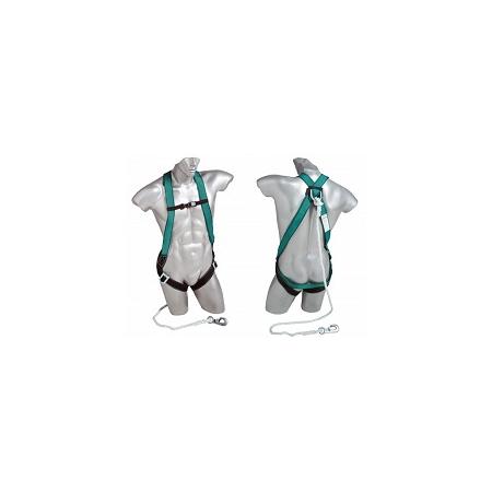 Foto sobre Mauris const equat